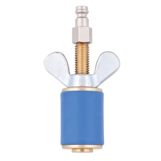 test plug cylindrical 1" SN5 with plug-in nipple DN 5